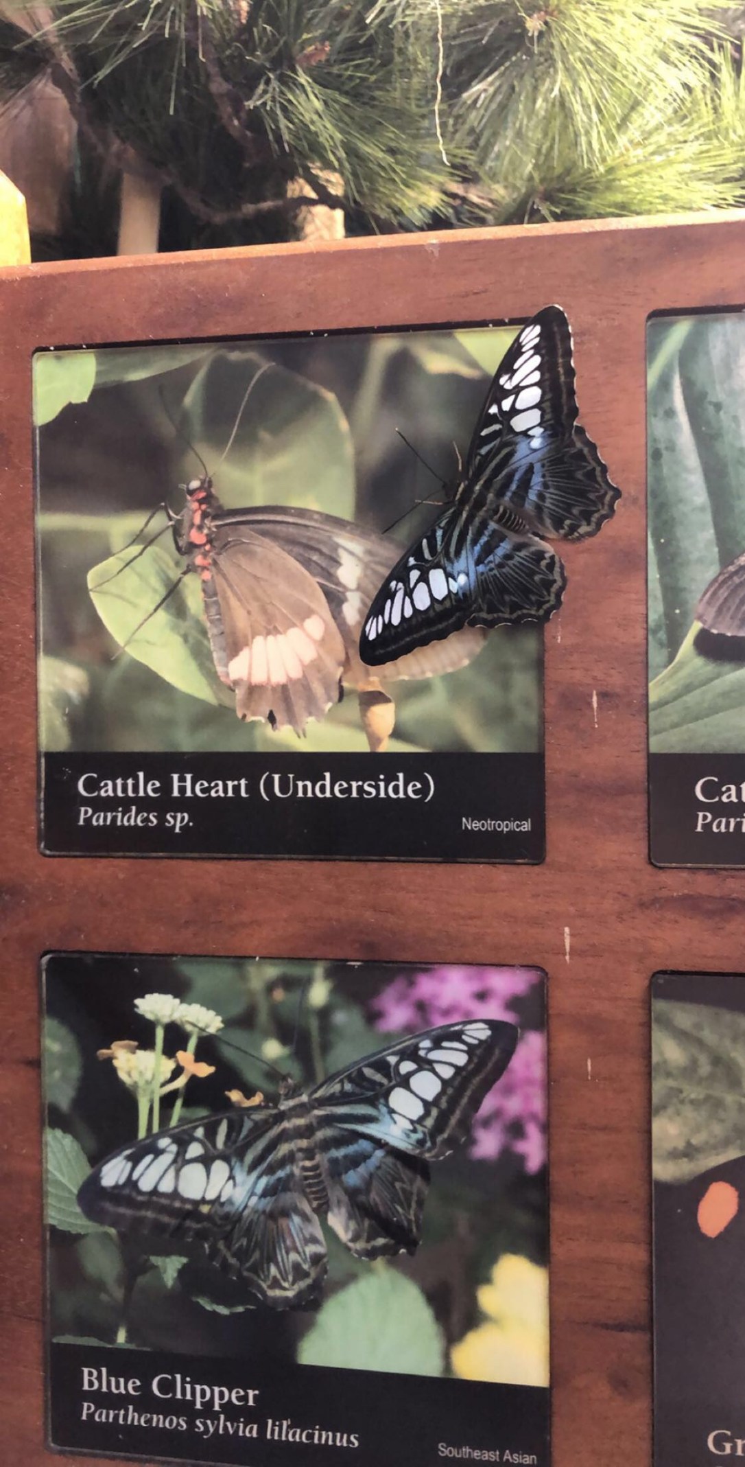 FF8C239F-A060-4011-8F53-0561ABF46267